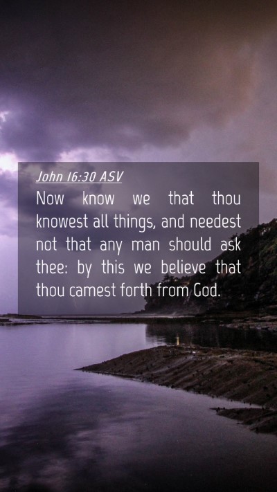 Picture 04 - John 16:30 ASV Mobile Phone Wallpaper - Now know we that thou knowest all things, and - Mobile Bible Verse Wallpaper