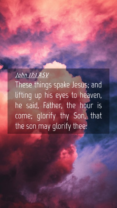 Picture 04 - John 17:1 ASV Mobile Phone Wallpaper - These things spake Jesus; and lifting up his eyes - Mobile Bible Verse Wallpaper