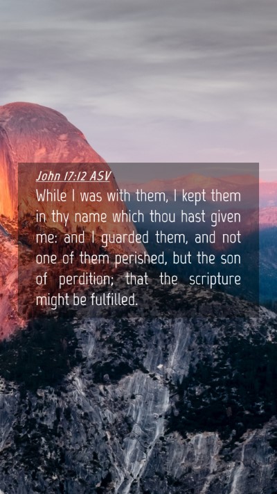 Picture 04 - John 17:12 ASV Mobile Phone Wallpaper - While I was with them, I kept them in thy name - Mobile Bible Verse Wallpaper
