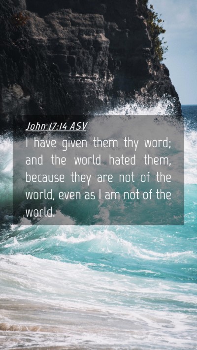 Picture 04 - John 17:14 ASV Mobile Phone Wallpaper - I have given them thy word; and the world hated - Mobile Bible Verse Wallpaper