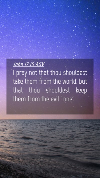 Picture 04 - John 17:15 ASV Mobile Phone Wallpaper - I pray not that thou shouldest take them from the - Mobile Bible Verse Wallpaper