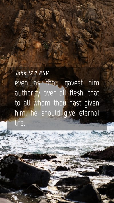 Picture 04 - John 17:2 ASV Mobile Phone Wallpaper - even as thou gavest him authority over all flesh, - Mobile Bible Verse Wallpaper