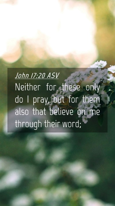 Picture 04 - John 17:20 ASV Mobile Phone Wallpaper - Neither for these only do I pray, but for them - Mobile Bible Verse Wallpaper