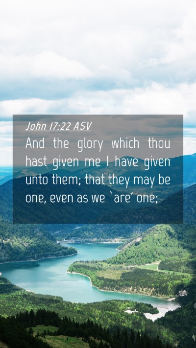 Picture 04 - John 17:22 ASV Mobile Phone Wallpaper - And the glory which thou hast given me I have - Mobile Bible Verse Wallpaper