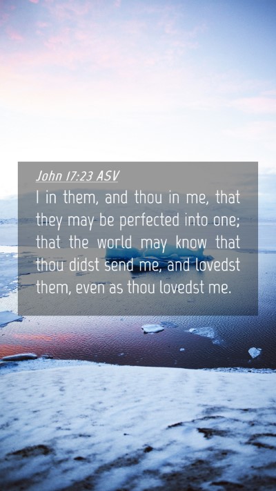 Picture 04 - John 17:23 ASV Mobile Phone Wallpaper - I in them, and thou in me, that they may be - Mobile Bible Verse Wallpaper