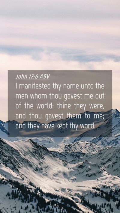 Picture 04 - John 17:6 ASV Mobile Phone Wallpaper - I manifested thy name unto the men whom thou - Mobile Bible Verse Wallpaper