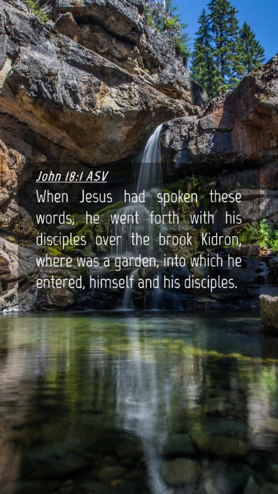 Picture 04 - John 18:1 ASV Mobile Phone Wallpaper - When Jesus had spoken these words, he went forth - Mobile Bible Verse Wallpaper