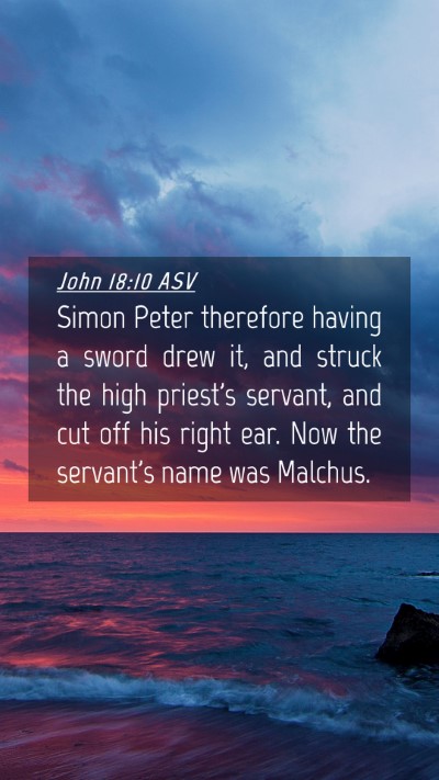 Picture 04 - John 18:10 ASV Mobile Phone Wallpaper - Simon Peter therefore having a sword drew it, and - Mobile Bible Verse Wallpaper