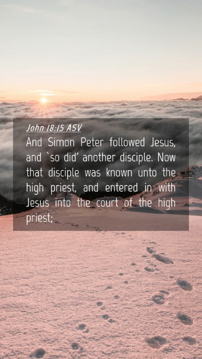 Picture 04 - John 18:15 ASV Mobile Phone Wallpaper - And Simon Peter followed Jesus, and `so did' - Mobile Bible Verse Wallpaper