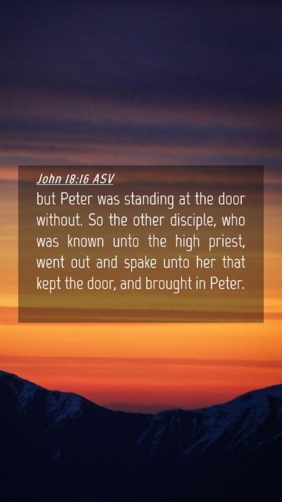 Picture 04 - John 18:16 ASV Mobile Phone Wallpaper - but Peter was standing at the door without. So - Mobile Bible Verse Wallpaper