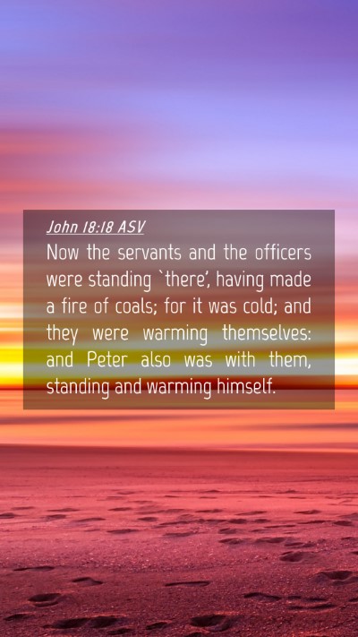 Picture 04 - John 18:18 ASV Mobile Phone Wallpaper - Now the servants and the officers were standing - Mobile Bible Verse Wallpaper