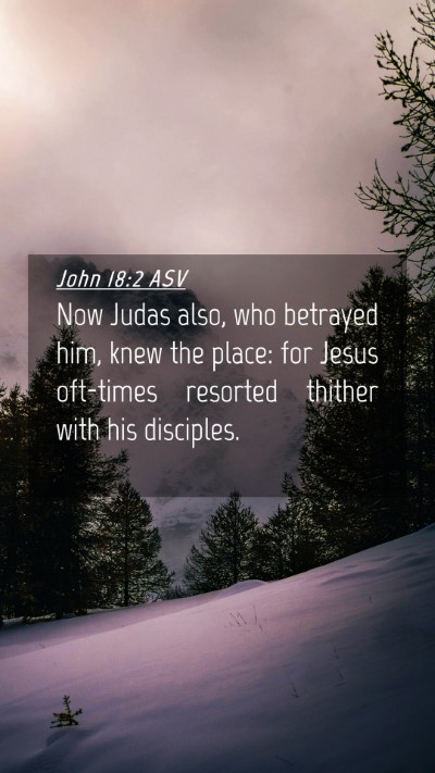 Picture 04 - John 18:2 ASV Mobile Phone Wallpaper - Now Judas also, who betrayed him, knew the place: - Mobile Bible Verse Wallpaper
