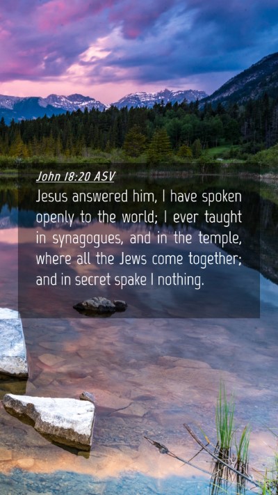 Picture 04 - John 18:20 ASV Mobile Phone Wallpaper - Jesus answered him, I have spoken openly to the - Mobile Bible Verse Wallpaper