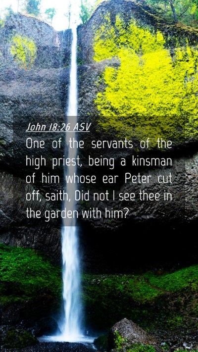 Picture 04 - John 18:26 ASV Mobile Phone Wallpaper - One of the servants of the high priest, being a - Mobile Bible Verse Wallpaper