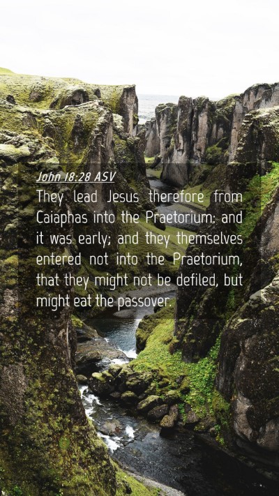 Picture 04 - John 18:28 ASV Mobile Phone Wallpaper - They lead Jesus therefore from Caiaphas into the - Mobile Bible Verse Wallpaper