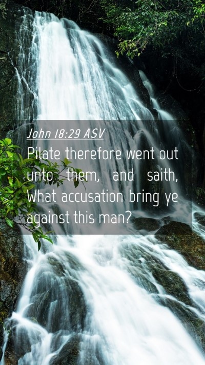 Picture 04 - John 18:29 ASV Mobile Phone Wallpaper - Pilate therefore went out unto them, and saith, - Mobile Bible Verse Wallpaper