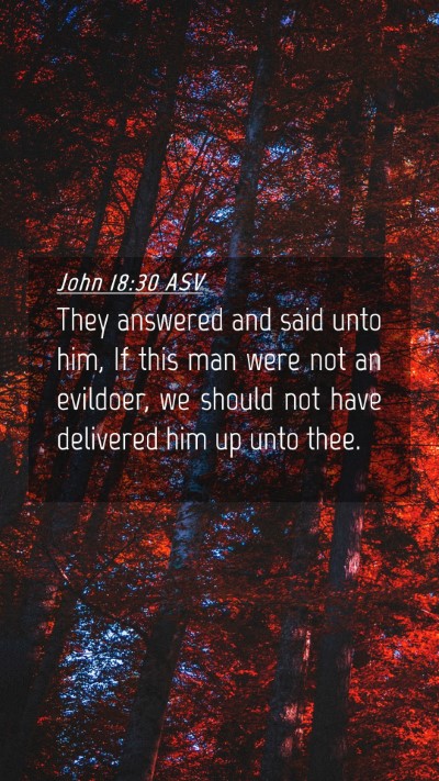 Picture 04 - John 18:30 ASV Mobile Phone Wallpaper - They answered and said unto him, If this man were - Mobile Bible Verse Wallpaper
