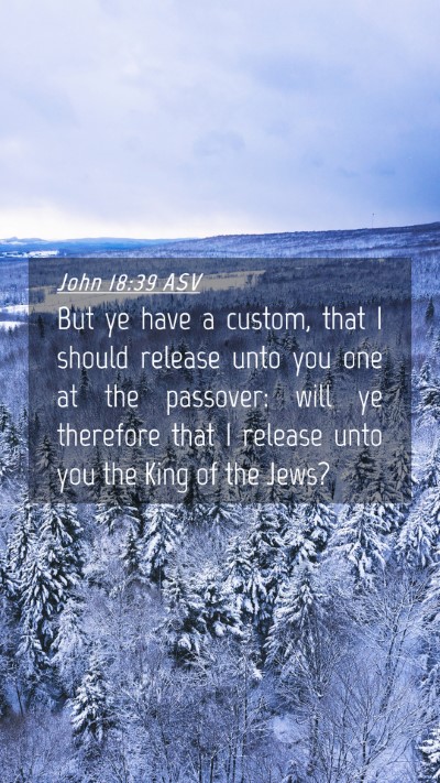 Picture 04 - John 18:39 ASV Mobile Phone Wallpaper - But ye have a custom, that I should release unto - Mobile Bible Verse Wallpaper