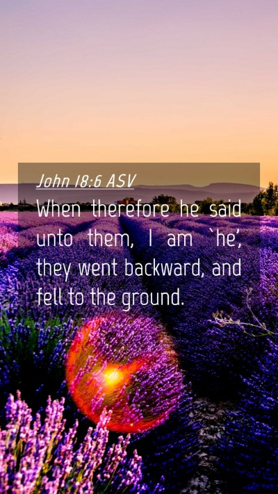 Picture 04 - John 18:6 ASV Mobile Phone Wallpaper - When therefore he said unto them, I am `he', they - Mobile Bible Verse Wallpaper