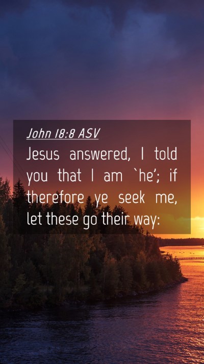 Picture 04 - John 18:8 ASV Mobile Phone Wallpaper - Jesus answered, I told you that I am `he'; if - Mobile Bible Verse Wallpaper