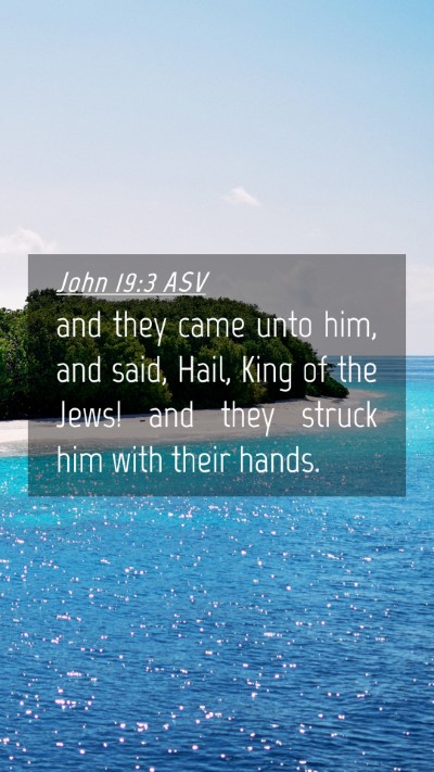 Picture 04 - John 19:3 ASV Mobile Phone Wallpaper - and they came unto him, and said, Hail, King of - Mobile Bible Verse Wallpaper