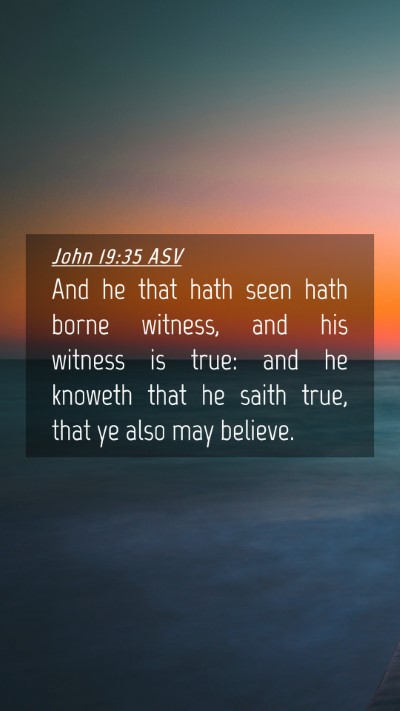 Picture 04 - John 19:35 ASV Mobile Phone Wallpaper - And he that hath seen hath borne witness, and his - Mobile Bible Verse Wallpaper