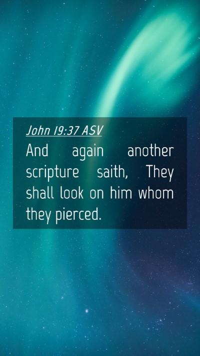 Picture 04 - John 19:37 ASV Mobile Phone Wallpaper - And again another scripture saith, They shall - Mobile Bible Verse Wallpaper