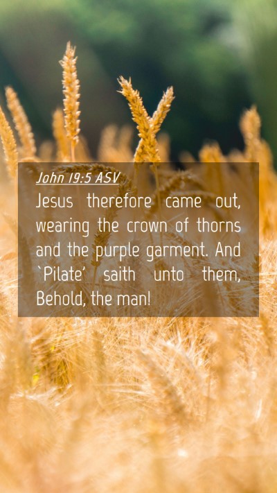 Picture 04 - John 19:5 ASV Mobile Phone Wallpaper - Jesus therefore came out, wearing the crown of - Mobile Bible Verse Wallpaper