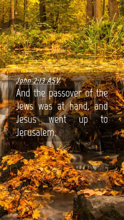 Picture 04 - John 2:13 ASV Mobile Phone Wallpaper - And the passover of the Jews was at hand, and - Mobile Bible Verse Wallpaper