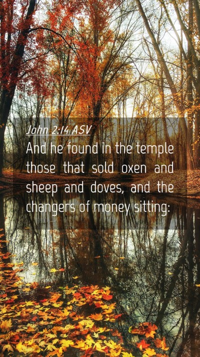 Picture 04 - John 2:14 ASV Mobile Phone Wallpaper - And he found in the temple those that sold oxen - Mobile Bible Verse Wallpaper
