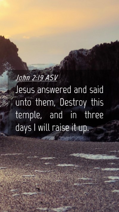 Picture 04 - John 2:19 ASV Mobile Phone Wallpaper - Jesus answered and said unto them, Destroy this - Mobile Bible Verse Wallpaper