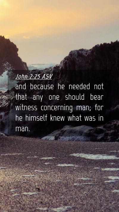 Picture 04 - John 2:25 ASV Mobile Phone Wallpaper - and because he needed not that any one should - Mobile Bible Verse Wallpaper