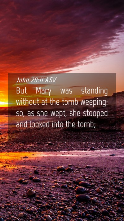 Picture 04 - John 20:11 ASV Mobile Phone Wallpaper - But Mary was standing without at the tomb - Mobile Bible Verse Wallpaper