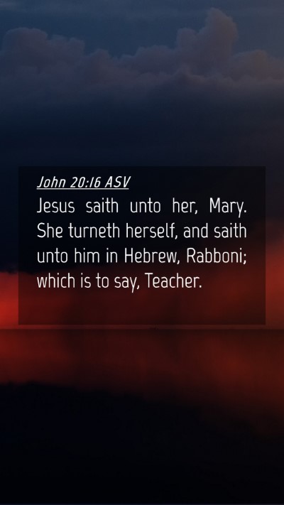 Picture 04 - John 20:16 ASV Mobile Phone Wallpaper - Jesus saith unto her, Mary. She turneth herself, - Mobile Bible Verse Wallpaper