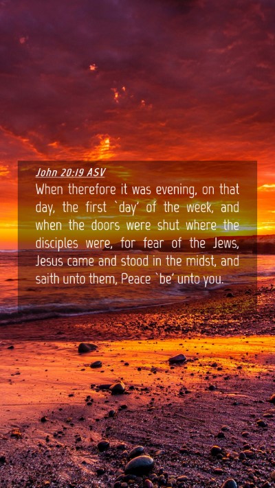 Picture 04 - John 20:19 ASV Mobile Phone Wallpaper - When therefore it was evening, on that day, the - Mobile Bible Verse Wallpaper