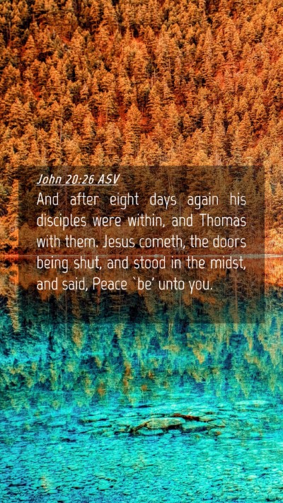 Picture 04 - John 20:26 ASV Mobile Phone Wallpaper - And after eight days again his disciples were - Mobile Bible Verse Wallpaper