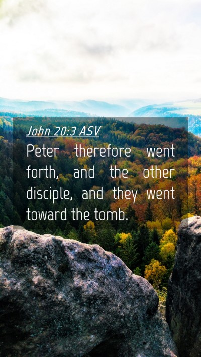 Picture 04 - John 20:3 ASV Mobile Phone Wallpaper - Peter therefore went forth, and the other - Mobile Bible Verse Wallpaper
