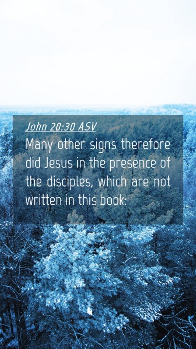Picture 04 - John 20:30 ASV Mobile Phone Wallpaper - Many other signs therefore did Jesus in the - Mobile Bible Verse Wallpaper