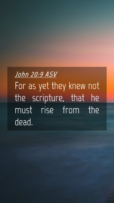 Picture 04 - John 20:9 ASV Mobile Phone Wallpaper - For as yet they knew not the scripture, that he - Mobile Bible Verse Wallpaper