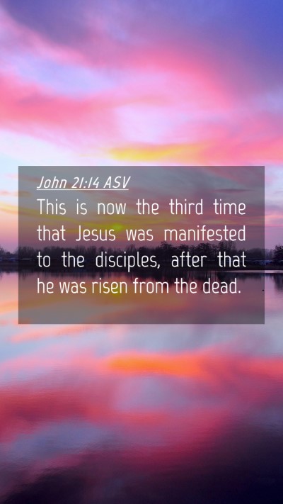 Picture 04 - John 21:14 ASV Mobile Phone Wallpaper - This is now the third time that Jesus was - Mobile Bible Verse Wallpaper