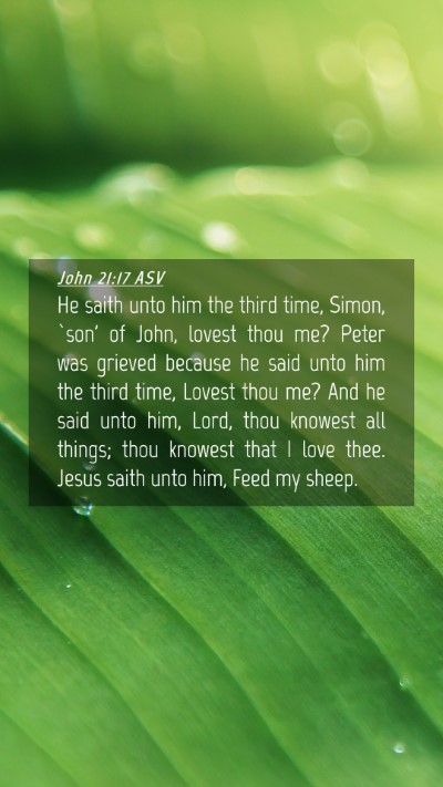Picture 04 - John 21:17 ASV Mobile Phone Wallpaper - He saith unto him the third time, Simon, `son' of - Mobile Bible Verse Wallpaper