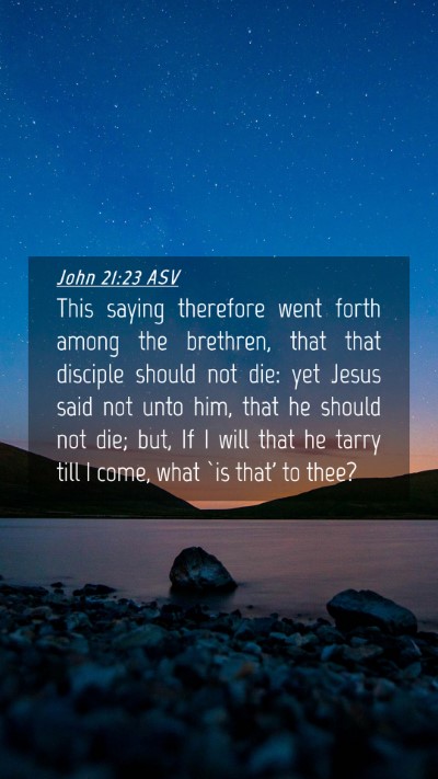 Picture 04 - John 21:23 ASV Mobile Phone Wallpaper - This saying therefore went forth among the - Mobile Bible Verse Wallpaper