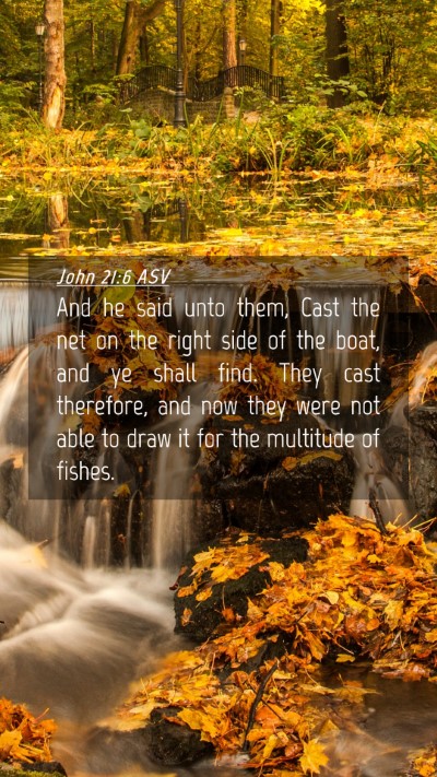 Picture 04 - John 21:6 ASV Mobile Phone Wallpaper - And he said unto them, Cast the net on the right - Mobile Bible Verse Wallpaper