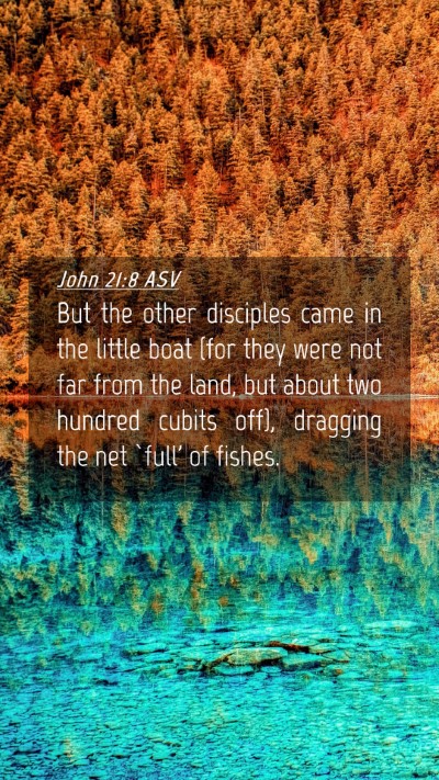 Picture 04 - John 21:8 ASV Mobile Phone Wallpaper - But the other disciples came in the little boat - Mobile Bible Verse Wallpaper