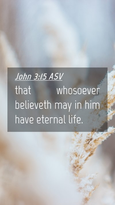 Picture 04 - John 3:15 ASV Mobile Phone Wallpaper - that whosoever believeth may in him have eternal - Mobile Bible Verse Wallpaper