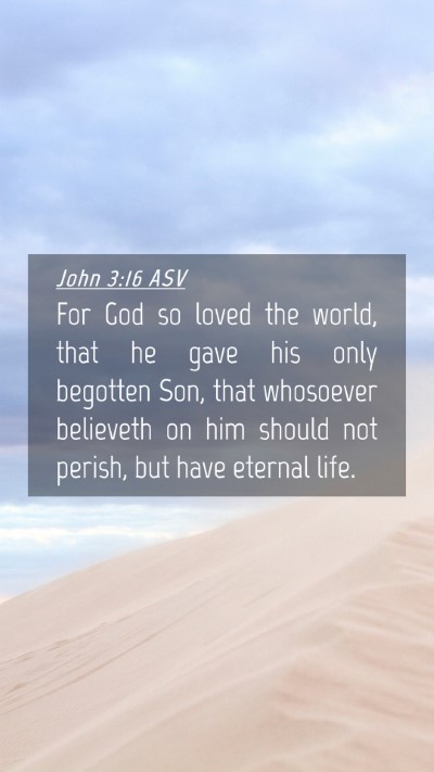 Picture 04 - John 3:16 ASV Mobile Phone Wallpaper - For God so loved the world, that he gave his only - Mobile Bible Verse Wallpaper
