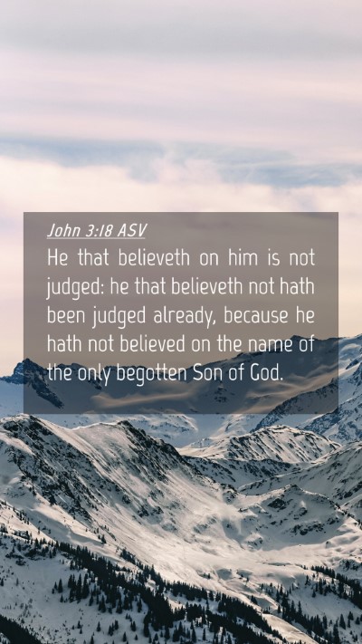 Picture 04 - John 3:18 ASV Mobile Phone Wallpaper - He that believeth on him is not judged: he that - Mobile Bible Verse Wallpaper