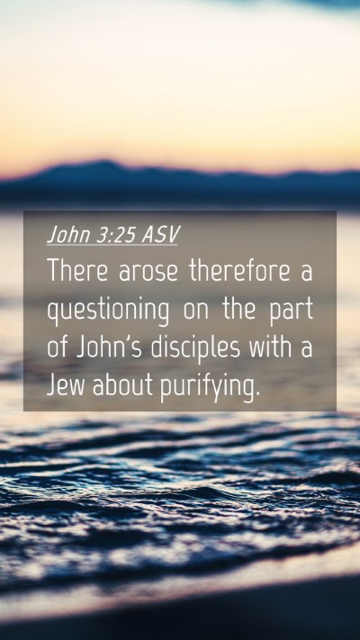 Picture 04 - John 3:25 ASV Mobile Phone Wallpaper - There arose therefore a questioning on the part - Mobile Bible Verse Wallpaper