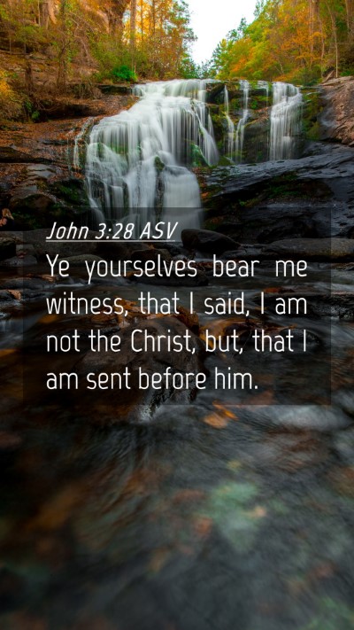 Picture 04 - John 3:28 ASV Mobile Phone Wallpaper - Ye yourselves bear me witness, that I said, I am - Mobile Bible Verse Wallpaper