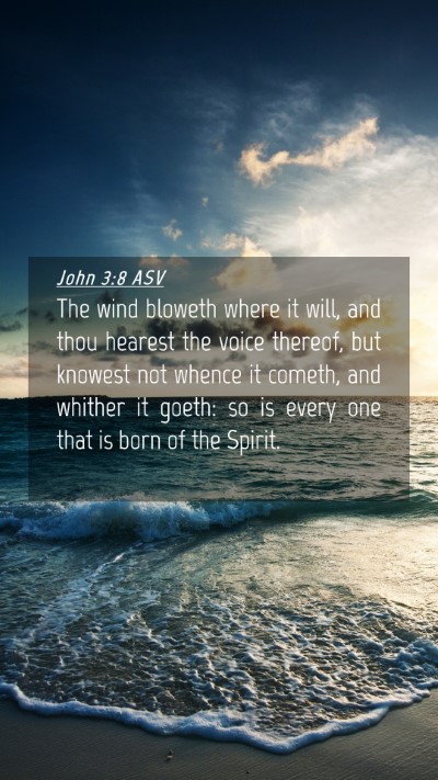 Picture 04 - John 3:8 ASV Mobile Phone Wallpaper - The wind bloweth where it will, and thou hearest - Mobile Bible Verse Wallpaper